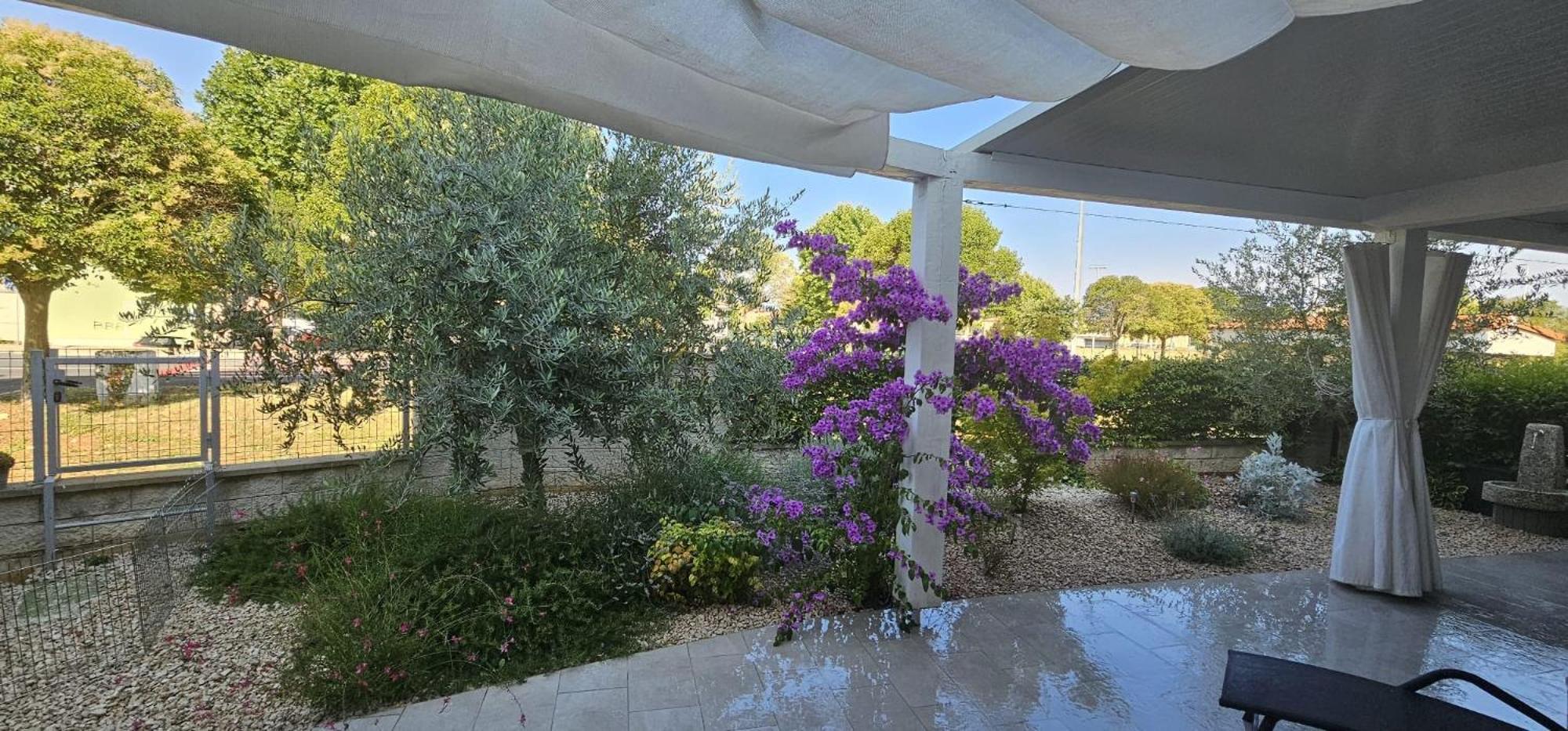 Apartman Magnolija Umag Exterior photo